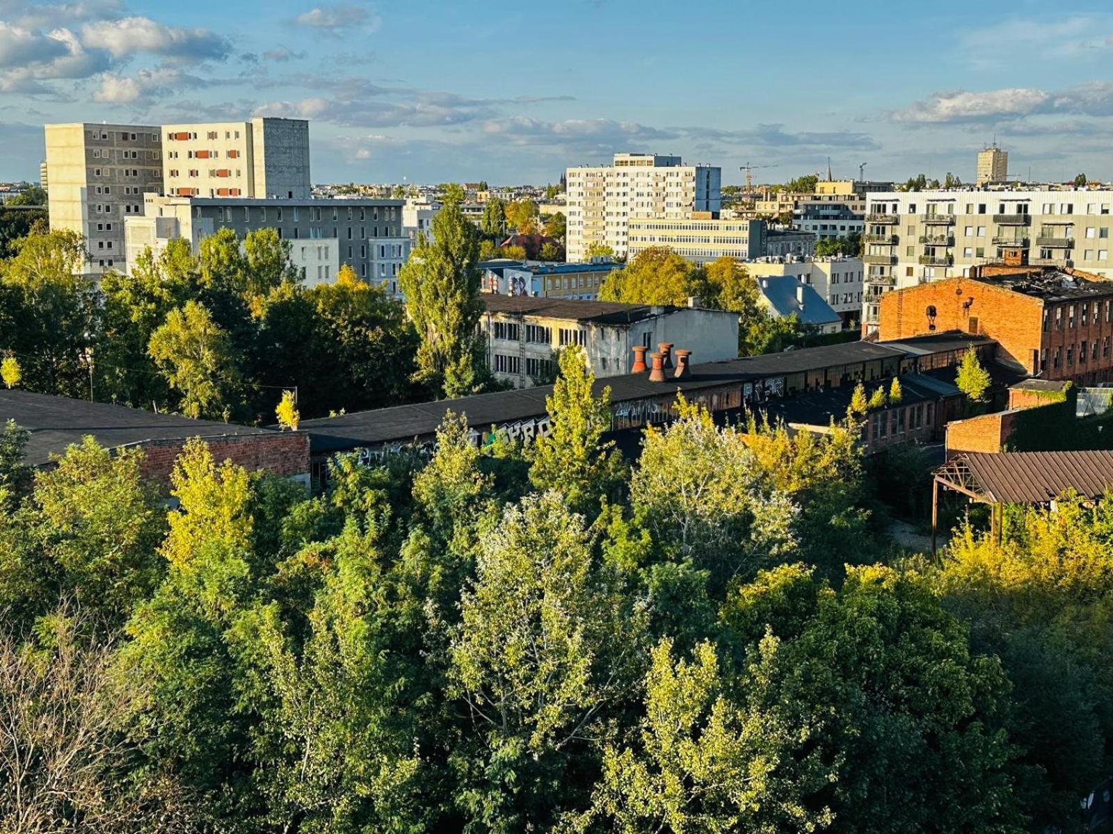 Cozy Corner Apartment Lodz (Lodz)